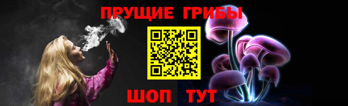 Псилоцибиновые грибы Psilocybine cubensis  Псилоцибиновые грибы Psilocybe  Вход с VPN  Дубна 
